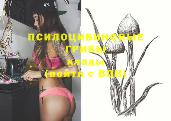 бошки Абинск