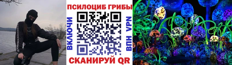 Псилоцибиновые грибы Psilocybe  Дюртюли 