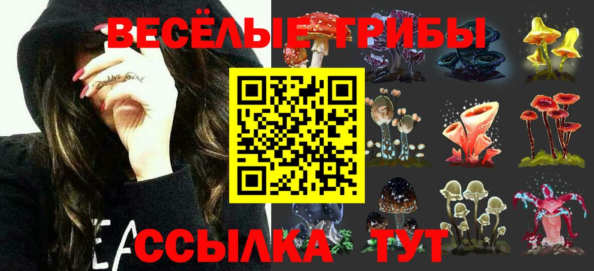 Галлюциногенные грибы Magic Shrooms Дюртюли