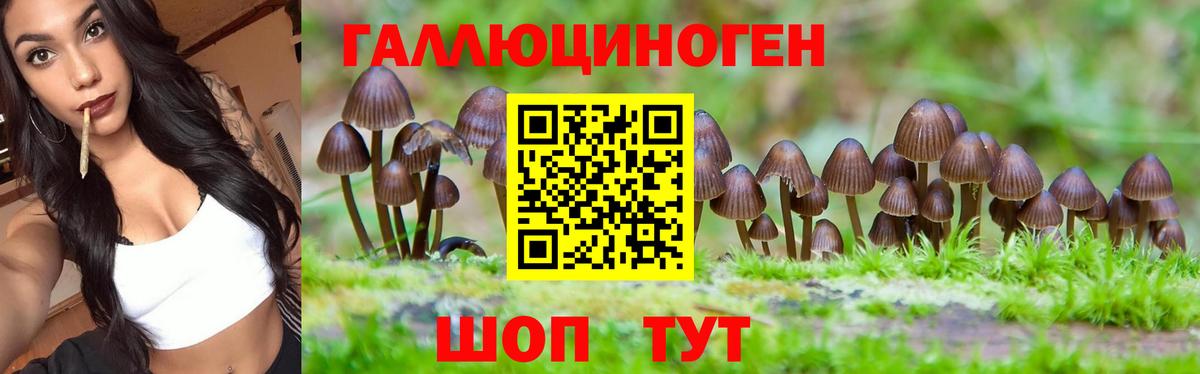 Галлюциногенные грибы ЛСД  Псилоцибиновые грибы мухоморы  Вход с VPN  Дюртюли 