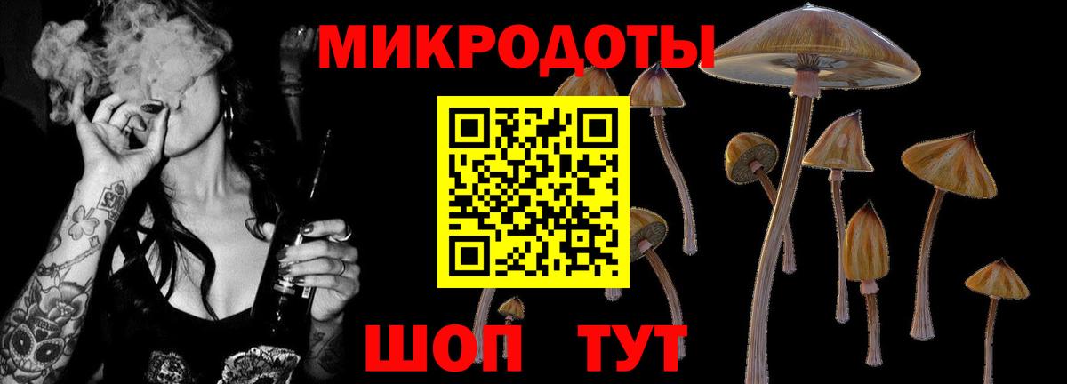 Псилоцибиновые грибы MAGIC MUSHROOMS  Вход с VPN  Дюртюли 